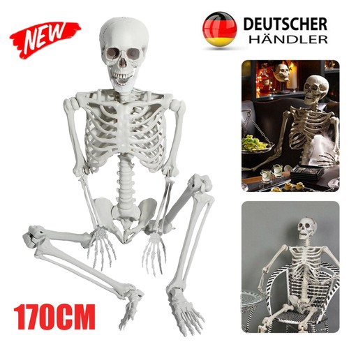 Neu skelett halloween - neu,