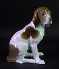 ENS Volkstedt - sitzender Hund