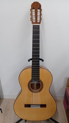 Amalio burguet classic - classic, guitar