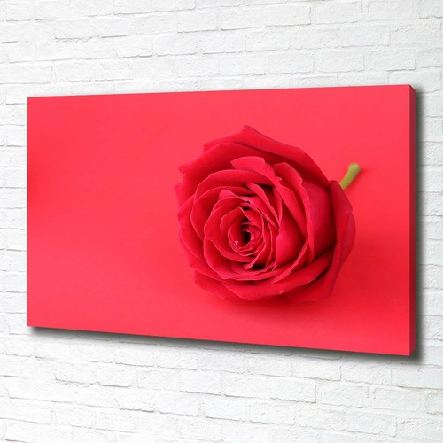 Leinwandbild kunst druck - leinwandbild, kunst-druck