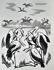 MUSTER OF STORK, STORKS -