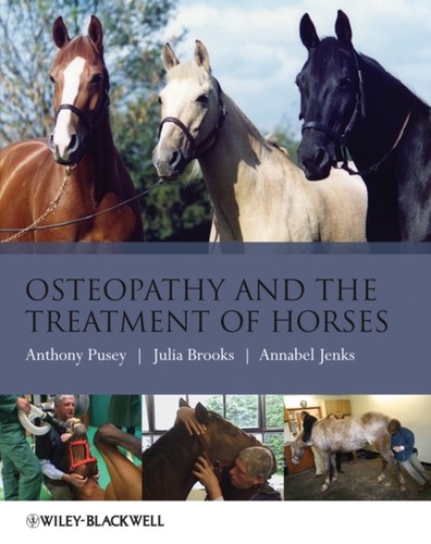 Osteopathy and the treatment - osteopathy,