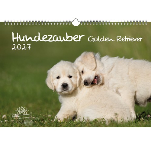 Hundezauber golden retriever - golden,