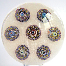 Briefbeschwerer Paperweight Parabelle Millefiori Rondel on Lace 1986