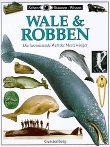 Sehen staunen wissen wale - staunen,,