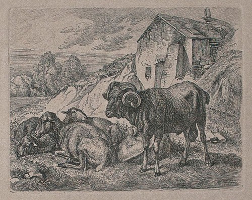 Johann adam klein - johann,