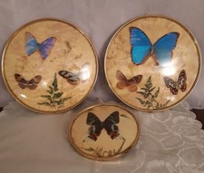 3 alte runde Wandbilder mit 7 echten exotischen Schmetterlingen