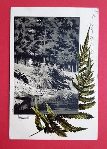 Künstler von mailick 1902 - mailick,