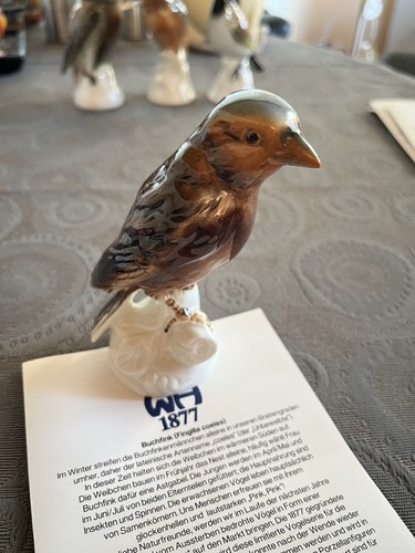 Buchfink vögel a porzellan - vögel,