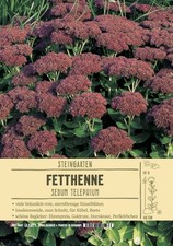 Sedum telephinum