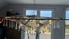 Paul Neuhaus Ricicle