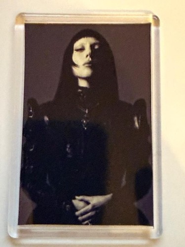Lady gaga world renowned - lady, pop