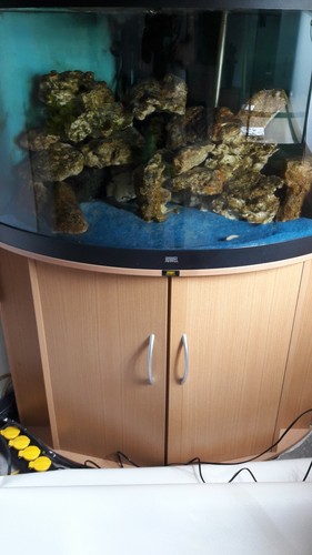 Juwell eckaqwarium 200l - eckaqwarium,