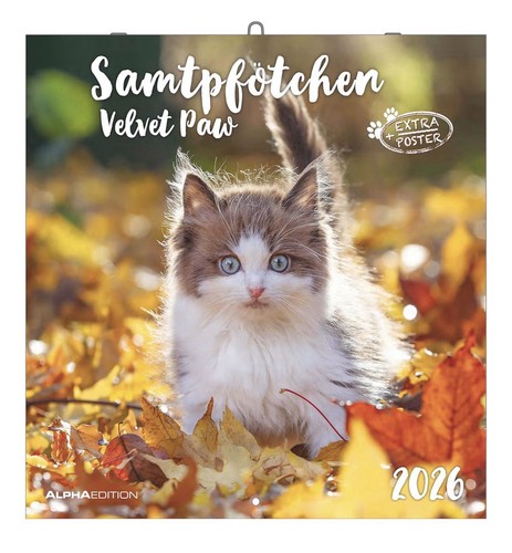 Samtpfötchen kalender 2026 - samtpfötchen,