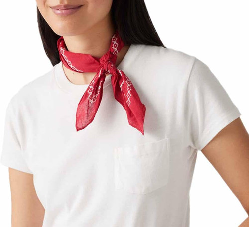 Paisley bandana herrenschal - paisley-bandana,