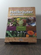 Heilkräuter in meinem Garten