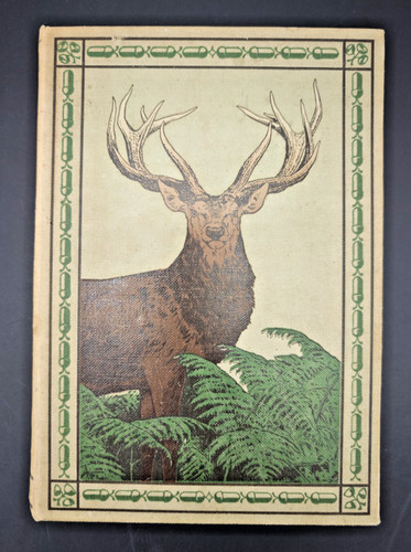 Das rotwild - rotwild,
