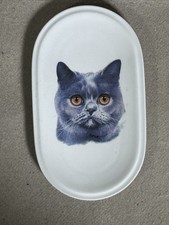 MPM saxonia Katze Kater Teller Wandteller grumpy cat