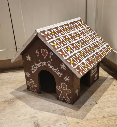 Neu meerschweinchen hase - meerschweinchen,
