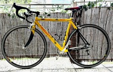 Rennrad Wilier Lavaredo Altec