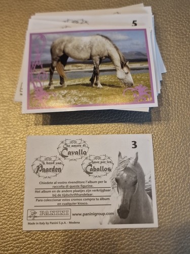 Panini geliebte pferde 58 - panini,