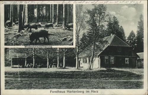 Hartenberg forsthaus - hartenberg,