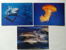 3 D Ansichtskarte Hai o. Qualle Delfin Postkarte Wackelkarte Hologrammkarte Tier