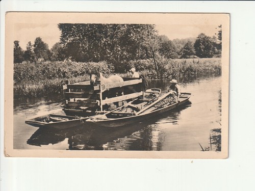 Spreewald heimkehr des - heimkehr,