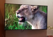 Samsung GQ50Q60AAUXZG Smart TV defekt s. Beschreibung