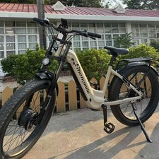 Gebraucht  City E-bike 2000W