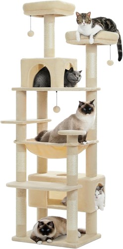 Kratzbaum für große - , katzen