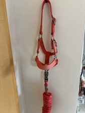 Pferde Halfter mit Strick