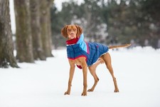 Hundemantel Wintermantel warm