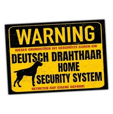 Deutsch Drahthaar DD Dog