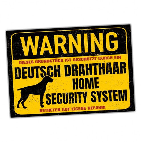Deutsch drahthaar dog - deutsch,