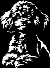 PUDEL Kleinpudel Aufkleber - Pudel Autoaufkleber - Zwergpudel sticker -Kontur#77