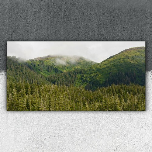 Nebel regenwald 100x50 - im,