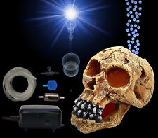 TOP Aquarium Deko sprudelnder 🐠 TOTENKOPF ➕ LUFTPUMPE 🐠 ➕ Zubehör Totenschädel