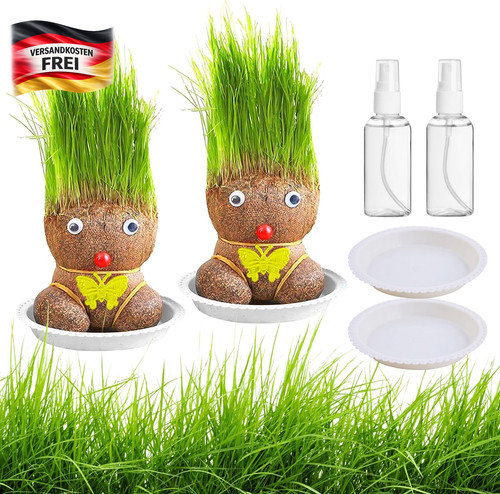 Wachsende grasköpfe set für - set,