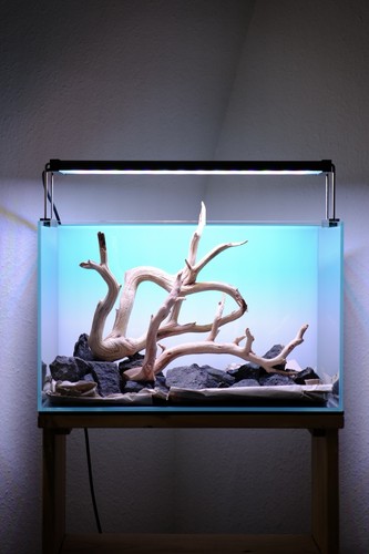 Hardscape set aus manzanita - aus,
