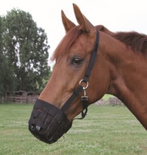 Pferde Fressbremse Weide