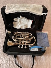 Neues Taschencornet in Silber mit Zubehör