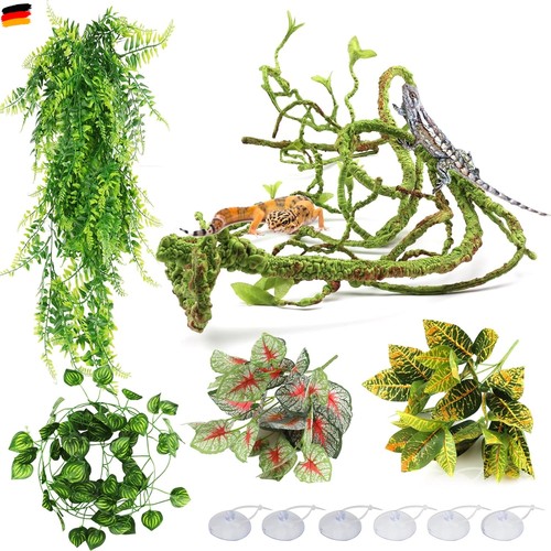 Hängepflanze terrarium - hängepflanze,