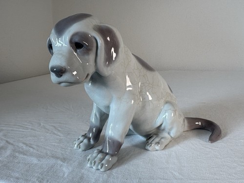 Paul zeiller hund - paul,