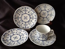 Winterling Strohblume Indisch