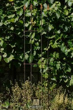 Rankgitter LUCAS Rankhilfe