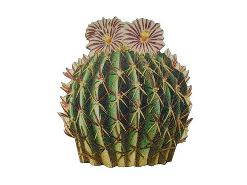 Kaktus brosche miniblings - kaktus,