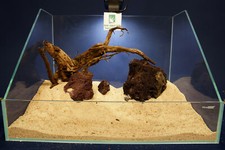 Aquascaping - Aquarium Landschaft - Aquarium Wurzel / Moorkienholz + Steine #12