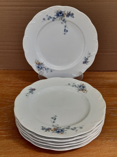 Rosenthal classic rose - classic,