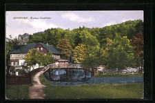 Ansichtskarte Jonsdorf, Kurhotel Gondelfahrt 1929 